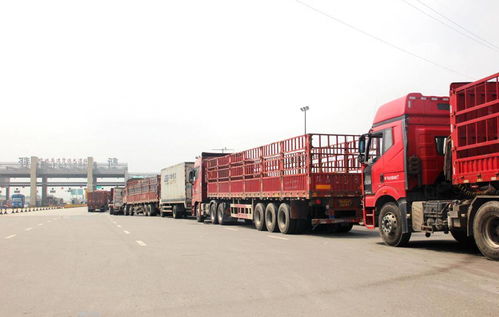 貨運(yùn)行業(yè)新動(dòng)向 兩會(huì)提案聚焦高速免費(fèi)與多證合一，助力道路貨物運(yùn)輸代理發(fā)展